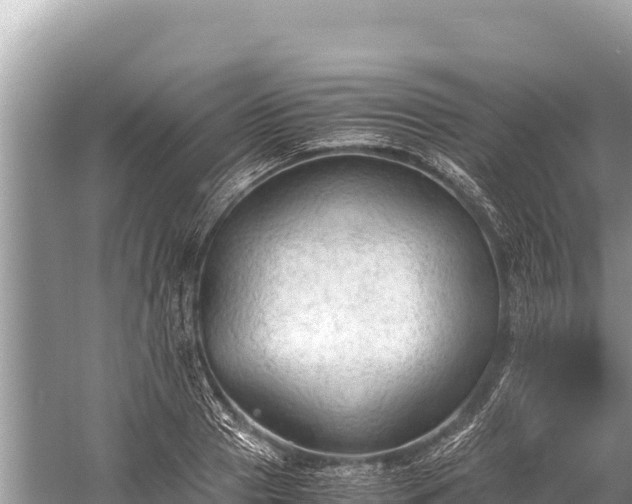 X0000060230937200510311544