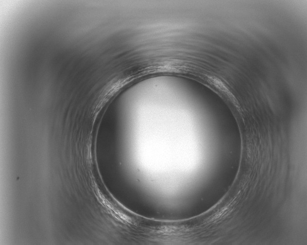 X0000060230938200510311544