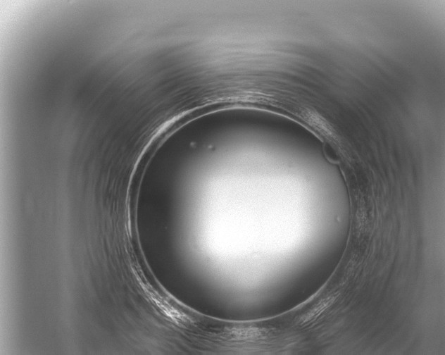 X0000060230940200510311544