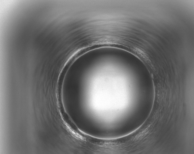 X0000060230942200510311544