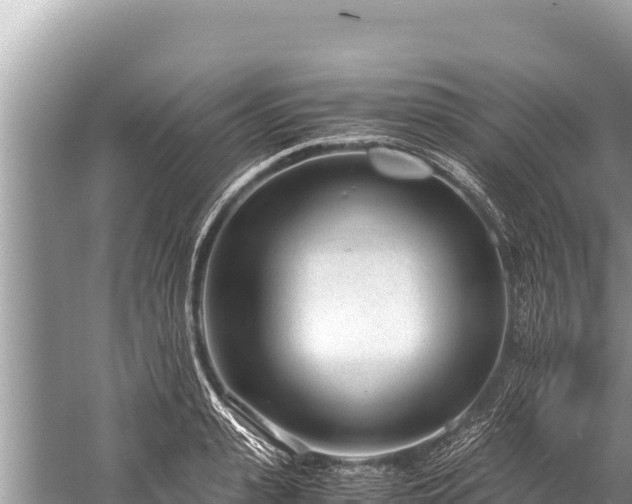 X0000060230943200510311544