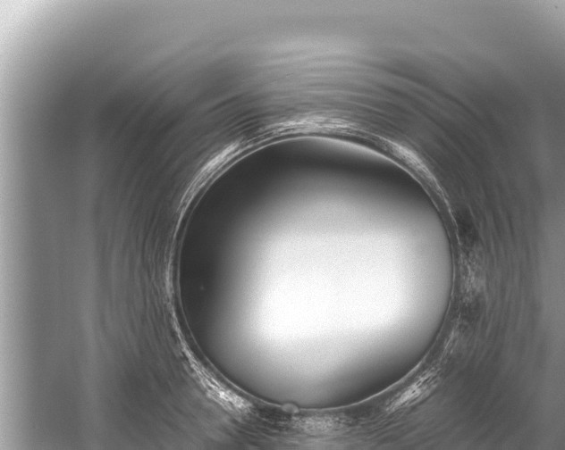 X0000060230946200510311544