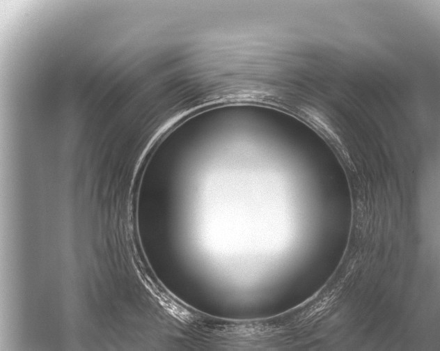 X0000060230948200510311544