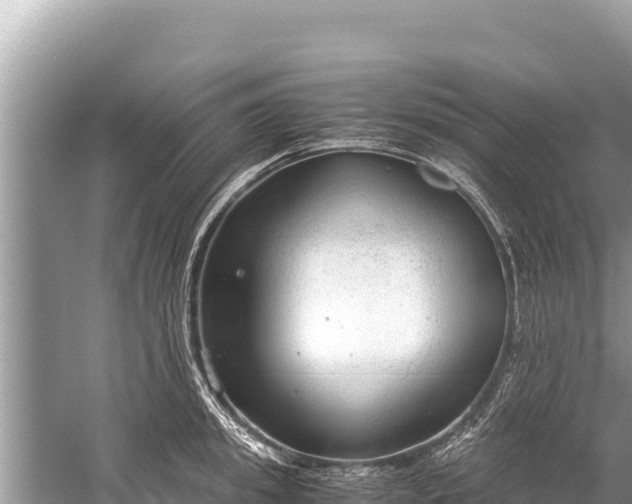 X0000060230949200510311544