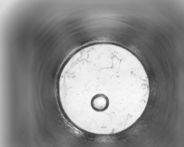 X0000060230950200510311544