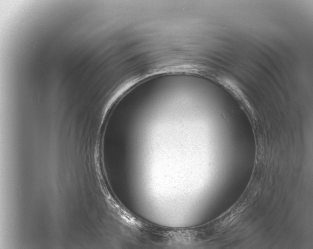 X0000060230952200510311544