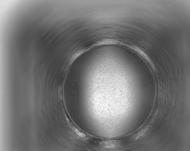 X0000060230953200510311544