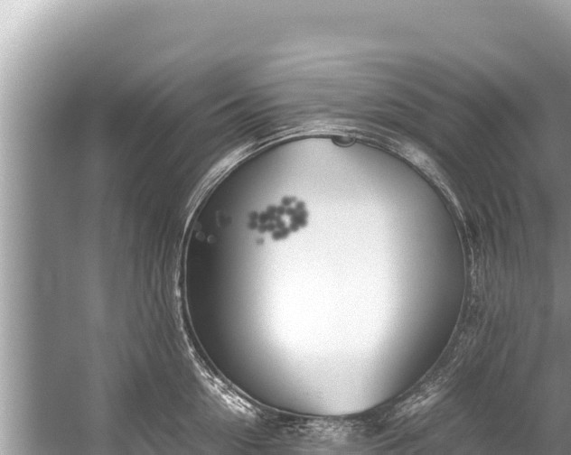 X0000060230954200510311544