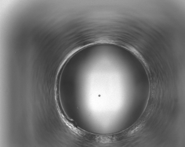 X0000060230955200510311544