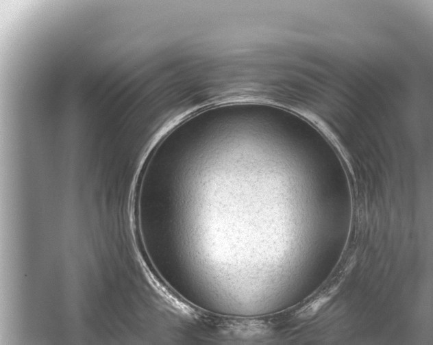 X0000060230957200510311544