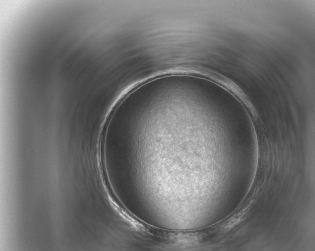 X0000060230958200510311544