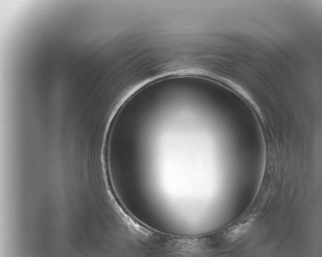 X0000060230959200510311544