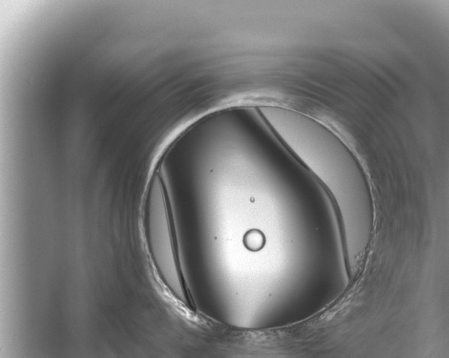 X0000060230960200510311544