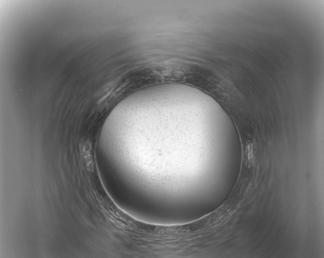 X0000060230963200510311543