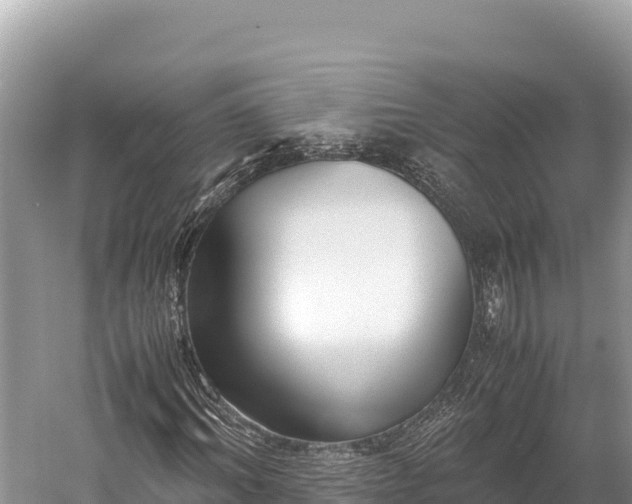 X0000060230964200510311543