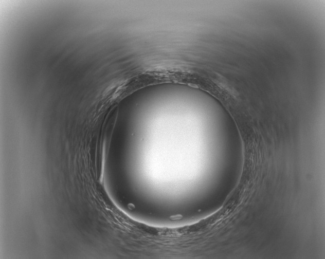 X0000060230965200510311543