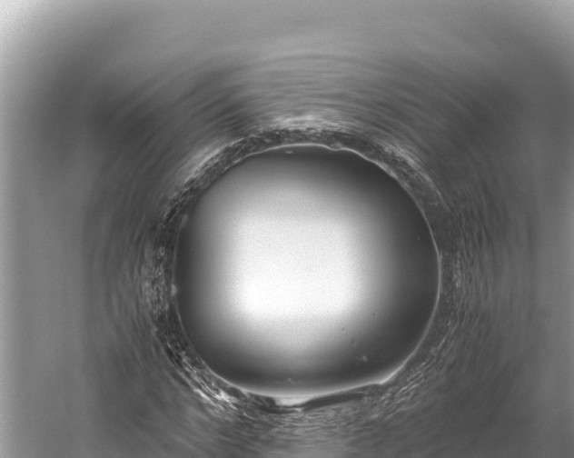 X0000060230968200510311543