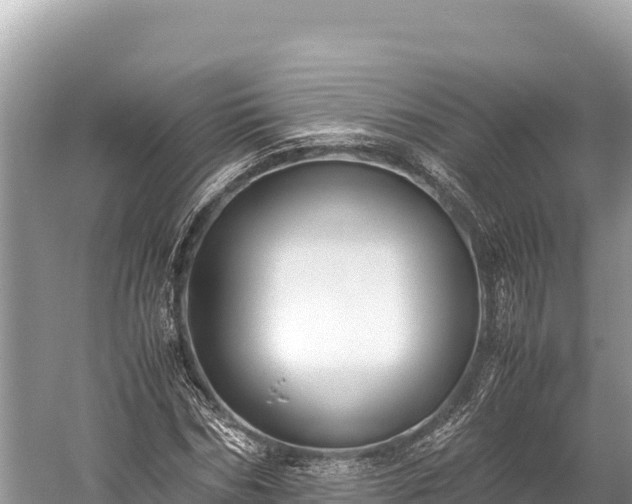 X0000060230970200510311543