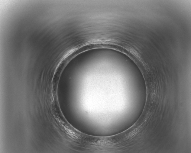 X0000060230974200510311543