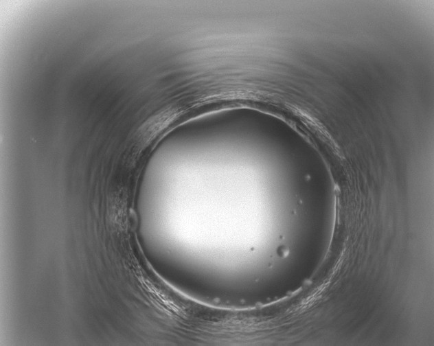 X0000060230977200510311543