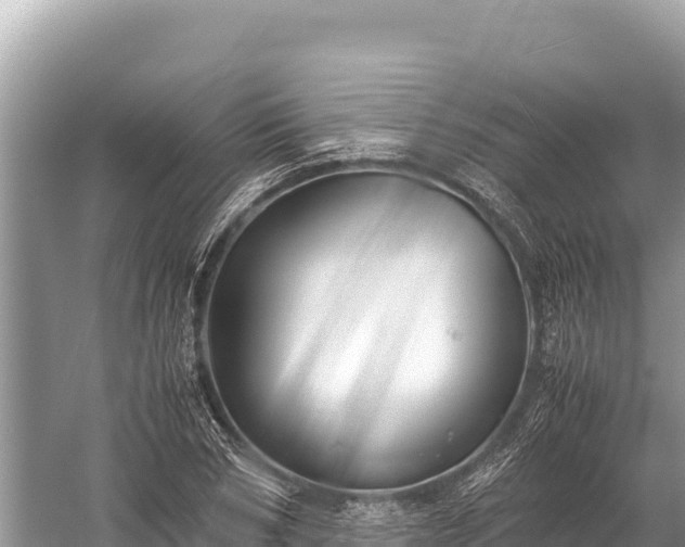 X0000060230978200510311543