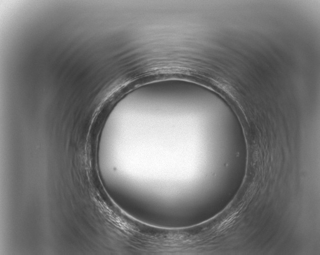 X0000060230979200510311543