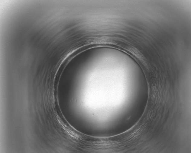 X0000060230980200510311543