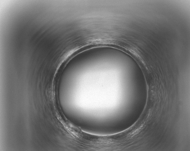 X0000060230981200510311543