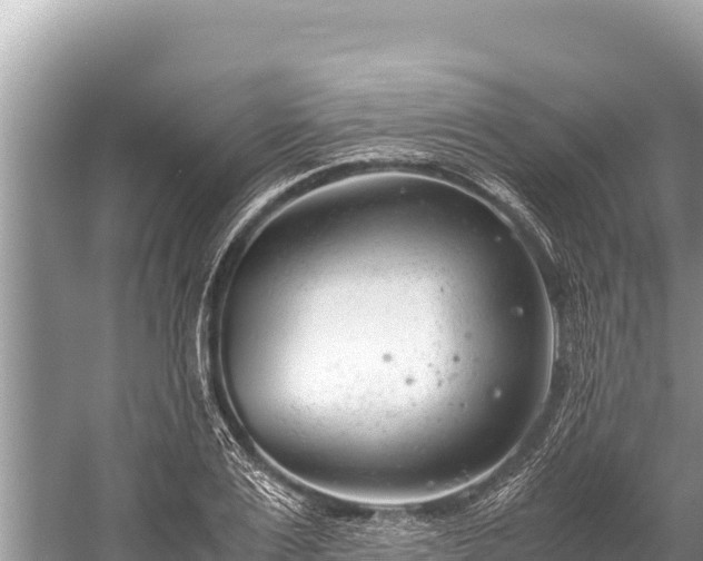 X0000060230983200510311543