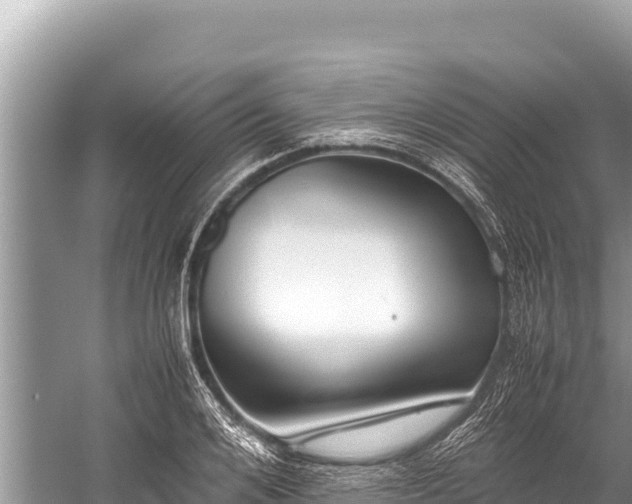 X0000060230984200510311543