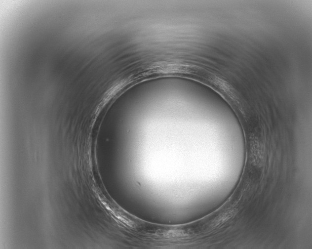 X0000060230986200510311543