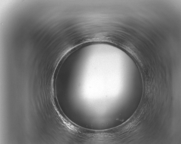 X0000060230988200510311543