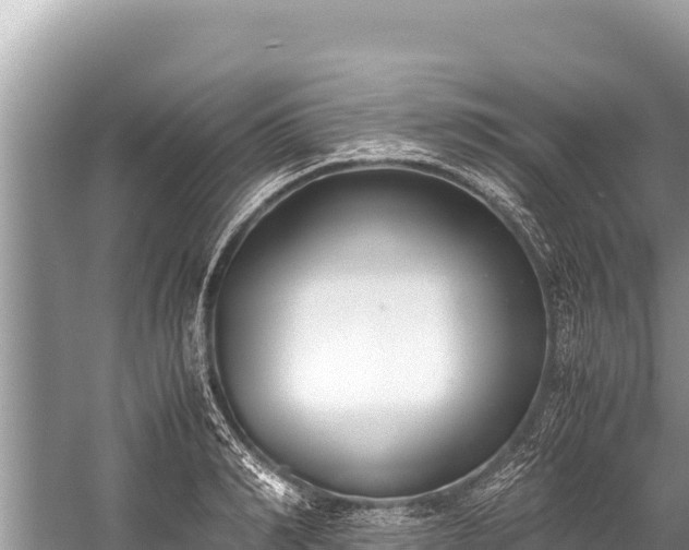 X0000060230990200510311543