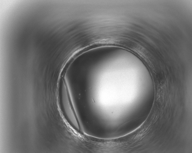 X0000060230992200510311543