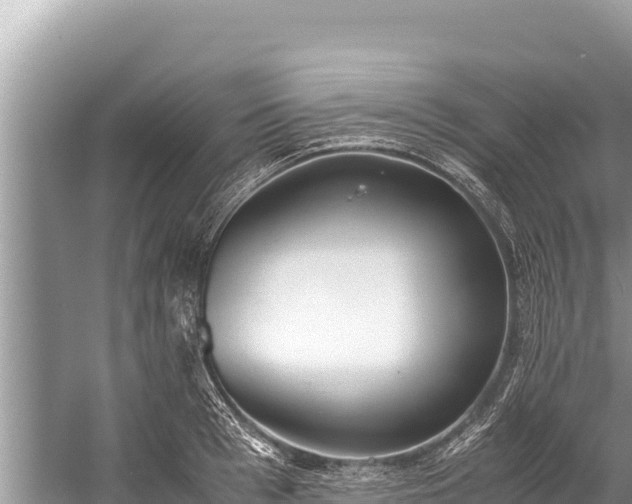 X0000060230993200510311543