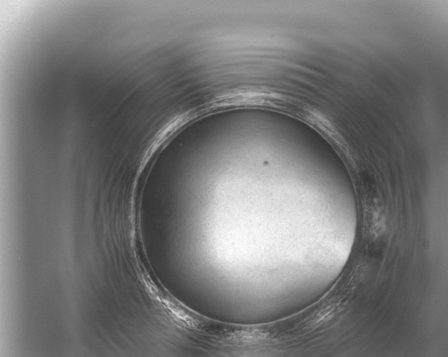 X0000060230994200510311543