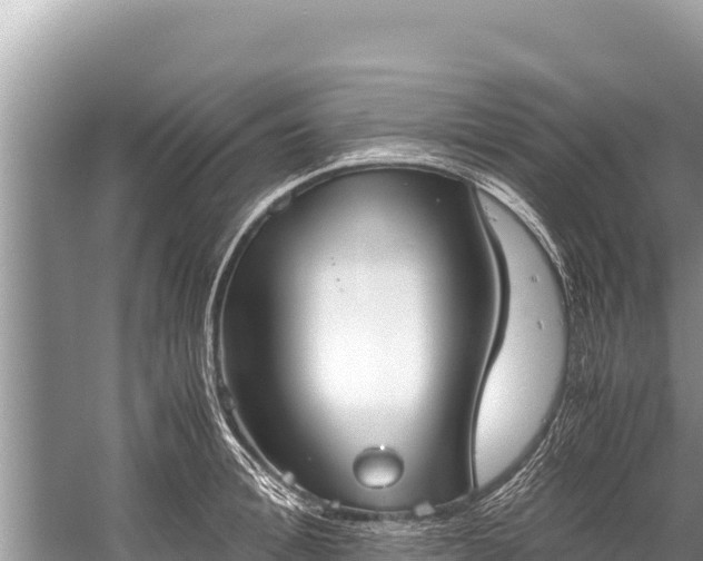 X0000060230996200510311543