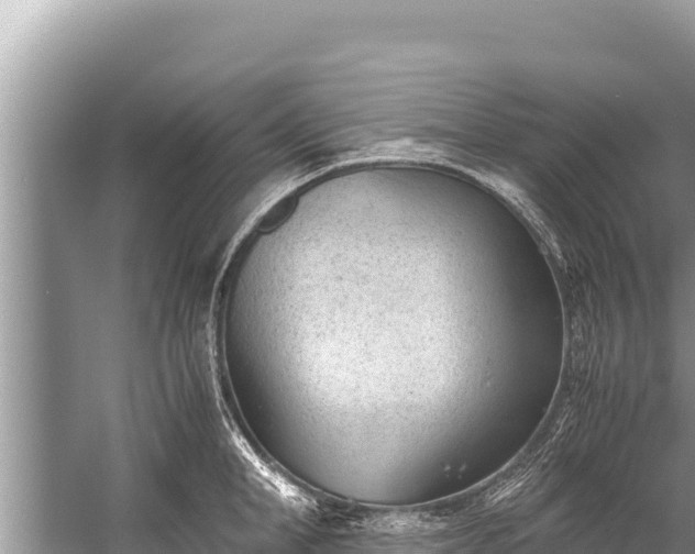 X0000060230998200510311543