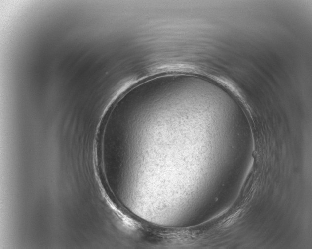 X0000060230999200510311543