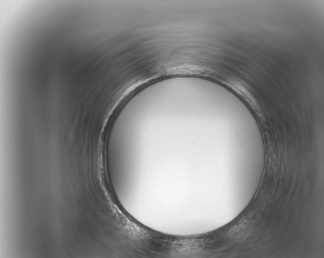 X0000060231000200510311543