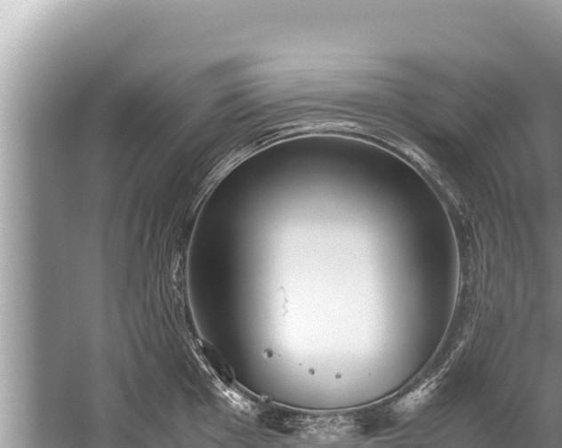 X0000060231001200510311542