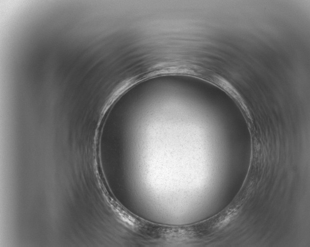 X0000060231002200510311542