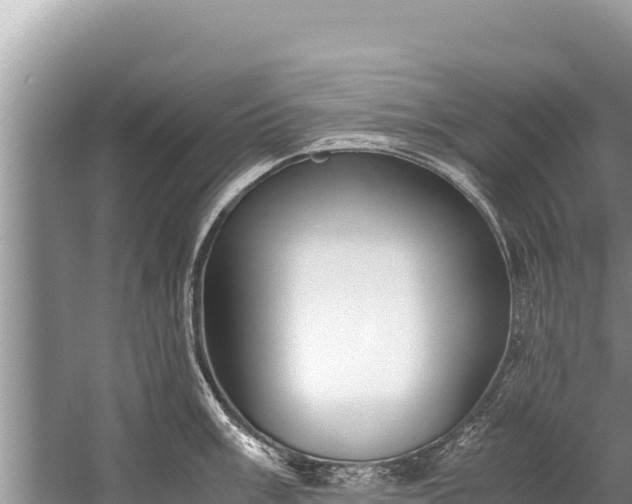 X0000060231003200510311542