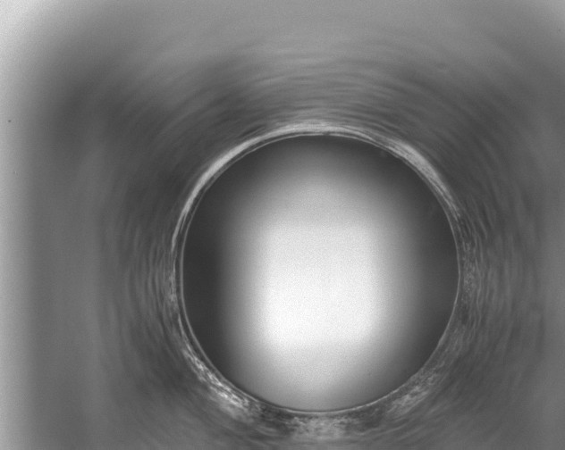 X0000060231004200510311542