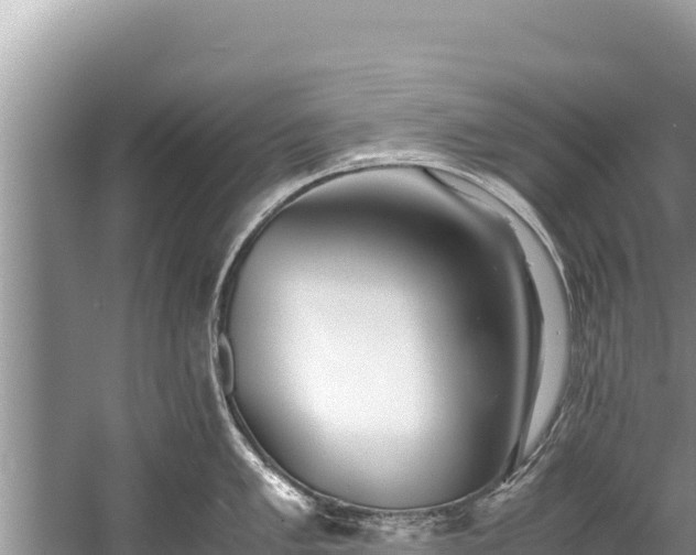 X0000060231005200510311542