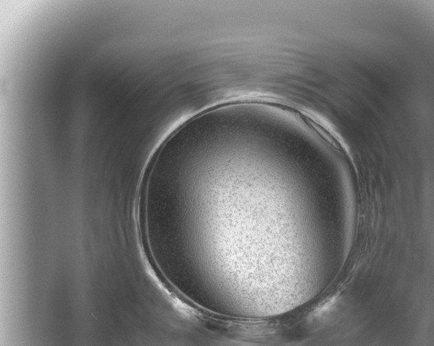 X0000060231007200510311542