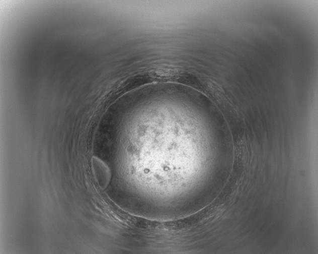 X0000060231009200510311542