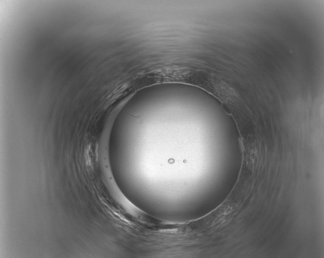 X0000060231010200510311542