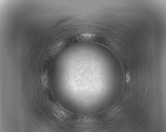 X0000060231011200510311542