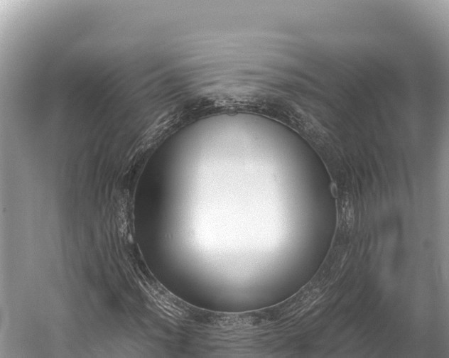 X0000060231012200510311542